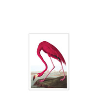The Dybdahl Co. Grußkarte - Flamingo