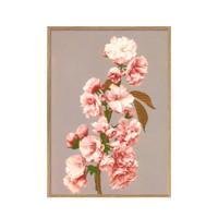 The Dybdahl Co. Cherry Blossom