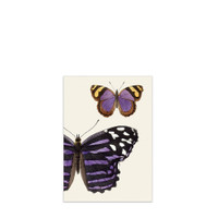 The Dybdahl Co. Grußkarte - Butterflies