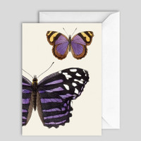 The Dybdahl Co. Grußkarte - Butterflies