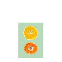 The Dybdahl Co. Mandarine & Zitrone