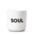 SOUL- Beat Cup
